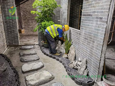 歷時半個月!位于禪城嶺南盛世的茶舍園林綠化工程改造項目已順利完工