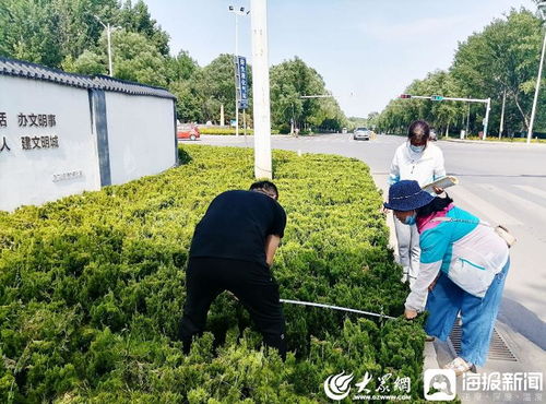 青州市園林綠化和環(huán)衛(wèi)中心 卡準(zhǔn)綠化施工精度尺，拉緊項目驗收質(zhì)量繩——以高標(biāo)準(zhǔn)打造體育場地設(shè)施工程