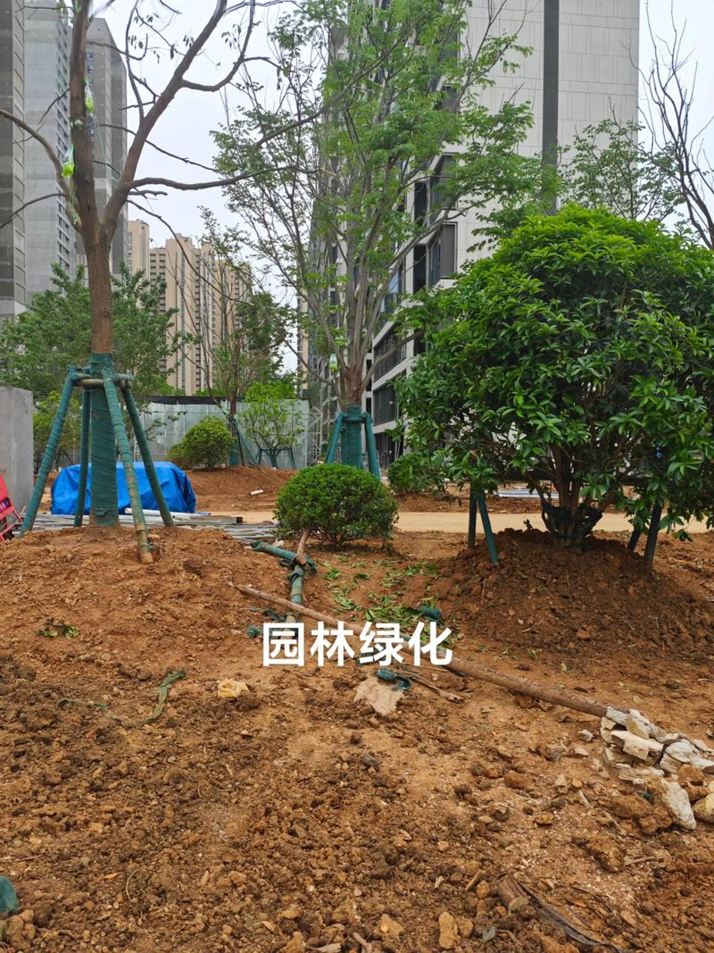 光谷中央公園體育場(chǎng)地設(shè)施工程建設(shè)提速，綠色生態(tài)與全民健身協(xié)同發(fā)展