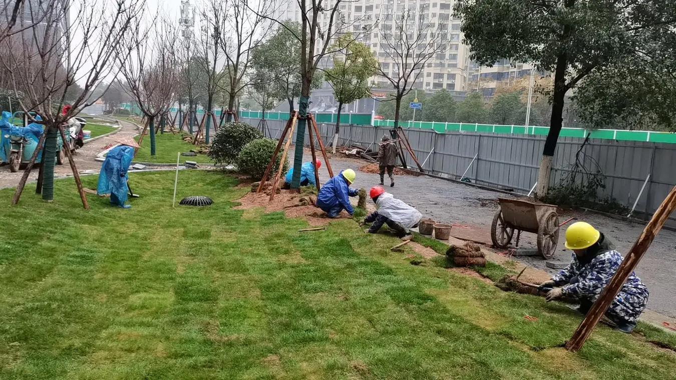 園林景觀綠化工程專(zhuān)業(yè)綠化施工 綠色體育場(chǎng)地設(shè)施建設(shè)的重要助力